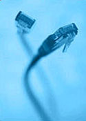 Networking Cables, cat5, cat5e, and cat6 patch cables bulk RJ45-RJ45 cable, PVC or Plenum Jacketed cat 5 and cat 6 patch cords, Cisco Cables, Ethernet Crossover Cables, Shielded or Unshielded, Standard Boots or Molded Boots, Straight Through or Crossover Pin-Outs